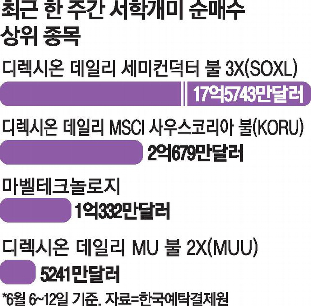 반도체 3배 레버리지 ETF로 몰린 서학개미 자금, 증시 조정장을 매수 기회로 판단