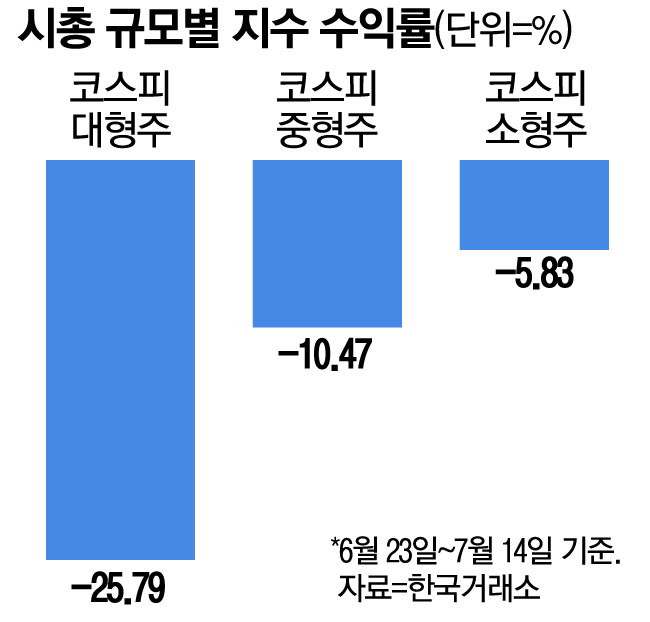 시총상위 대형주 급락, 200만원대 주식 43% 추락에 국내 증시 조정장 경고등